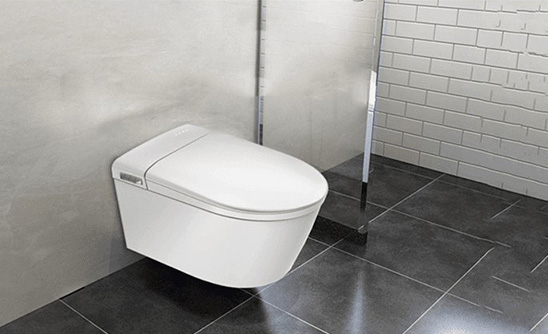 The Ultimate Guide to Wall-hung Toilet