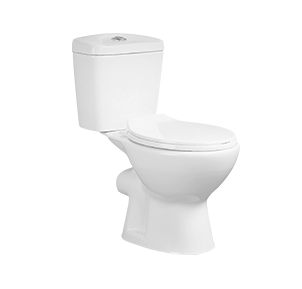 Compact Small Two-piece Toilet with Dual Flush Button