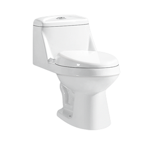 Compact Dual-Flush Single Piece Commode