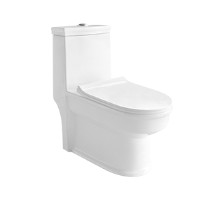 Elongated Ceramic Toilet One-piece,Seat Cover Included