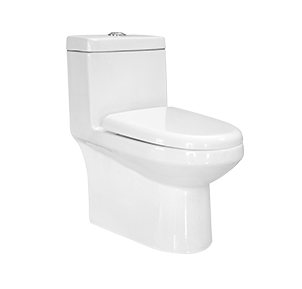 Elongated One-piece Water Closet Bowl