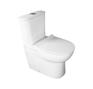 Wash Down One-piece Cearmic Toilet,Elongated Rimless Flushing Way