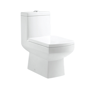 Square One-piece Toilet Bowl Shape With Dush Flush Button