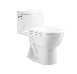 Single Side Flush One-Piece Elongated Toilet