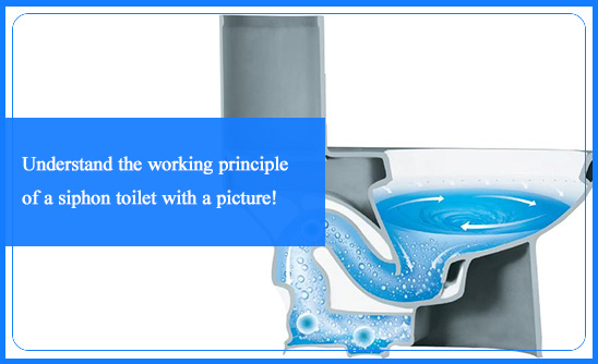 Understand the working principle of a siphon toilet with a picture