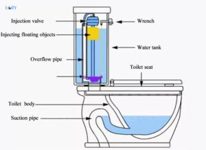 Understand the working principle of a siphon toilet with a picture ...