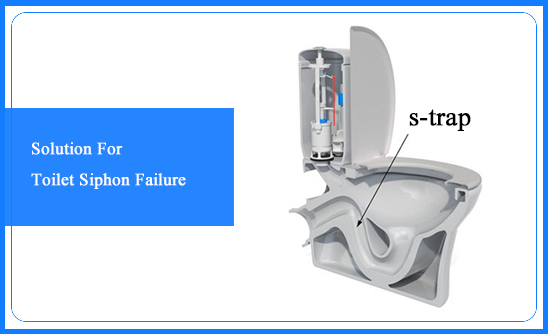 Solution For Toilet Siphon Failure